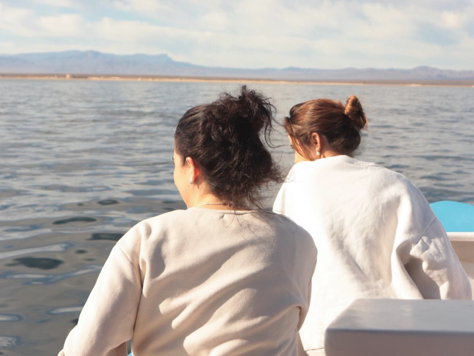 Open-ocean view from a panga on the Pacific coast of Baja California Sur