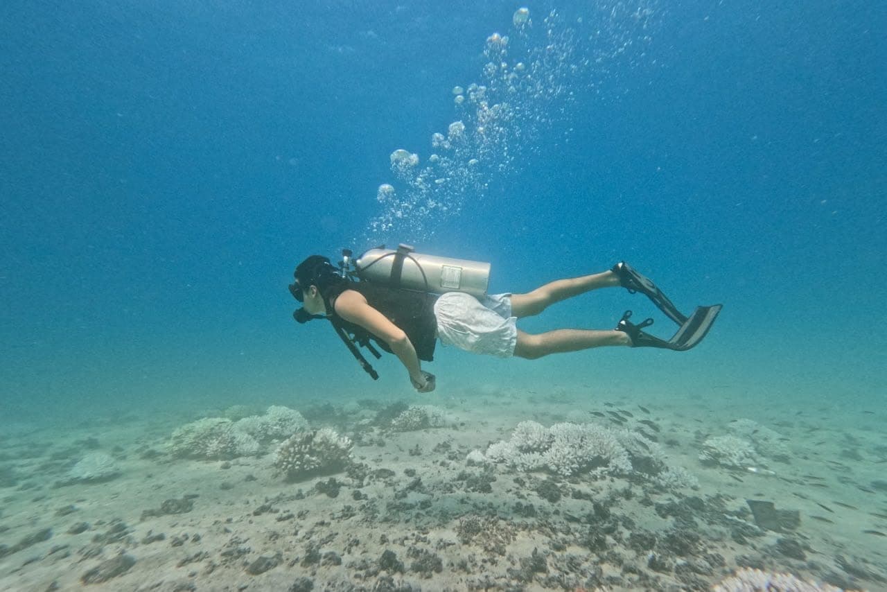 Buzo principiante planeando sobre el arrecife en La Paz